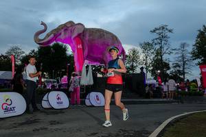 BIB: 
                            <button type="button" onclick="openModal(26529564)" class="btn btn-primary btn-sm float-right btn-popup" data-toggle="modal" data-target=".modal-high-quality">
                        <i class="fas fa-shopping-cart"></i> Add to Cart
                    </button>
                                            <button type="button" onclick="isThisMe(26529564, true)" class="btn btn-success btn-sm float-right btn-popup btn-isme hidden" data-toggle="tooltip" data-placement="bottom" title="นี่คือรูปของคุณใช่ไหม คลิกที่นี่เพื่อเอาเข้าอัลบั้ม">
                        <i class="fas fa-plus"></i> Add to album
                    </button>
                    <button type="button" onclick="isThisMe(26529564, false)" class="btn btn-warning btn-sm float-right btn-popup btn-isnotme hidden">
                        <i class="fas fa-ban"></i> Remove from album
                    </button>